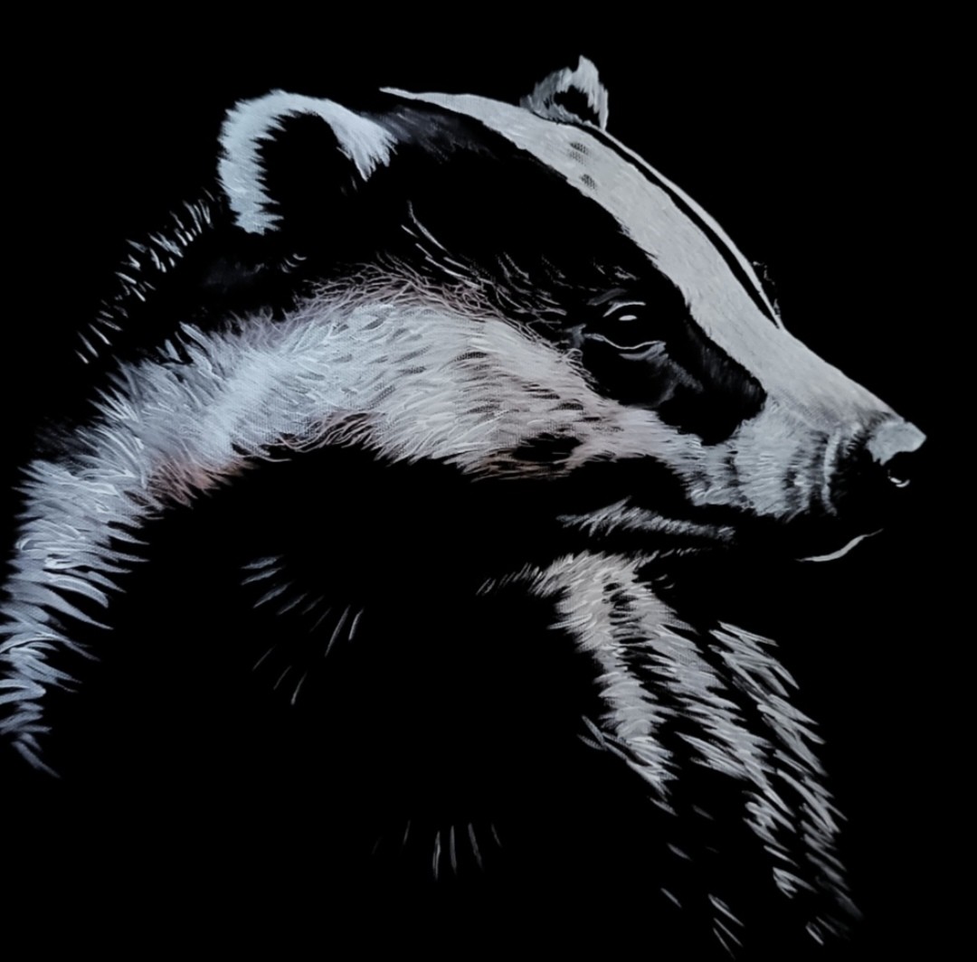 Badger in acrylic media set on a black background by Candy Kirkland