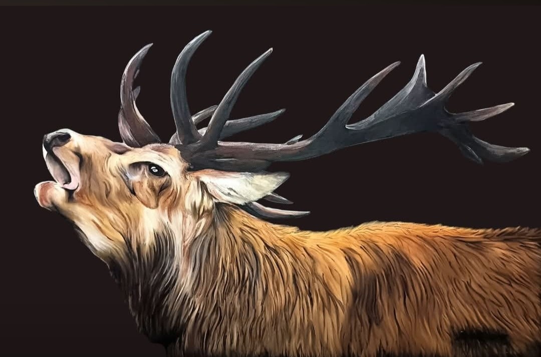 Baying stag with full hatstand set on black background